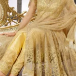 desiroyale-anarkali-sept---9c_2048x